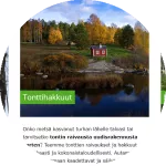 Services overview puunkaato-oja.fi